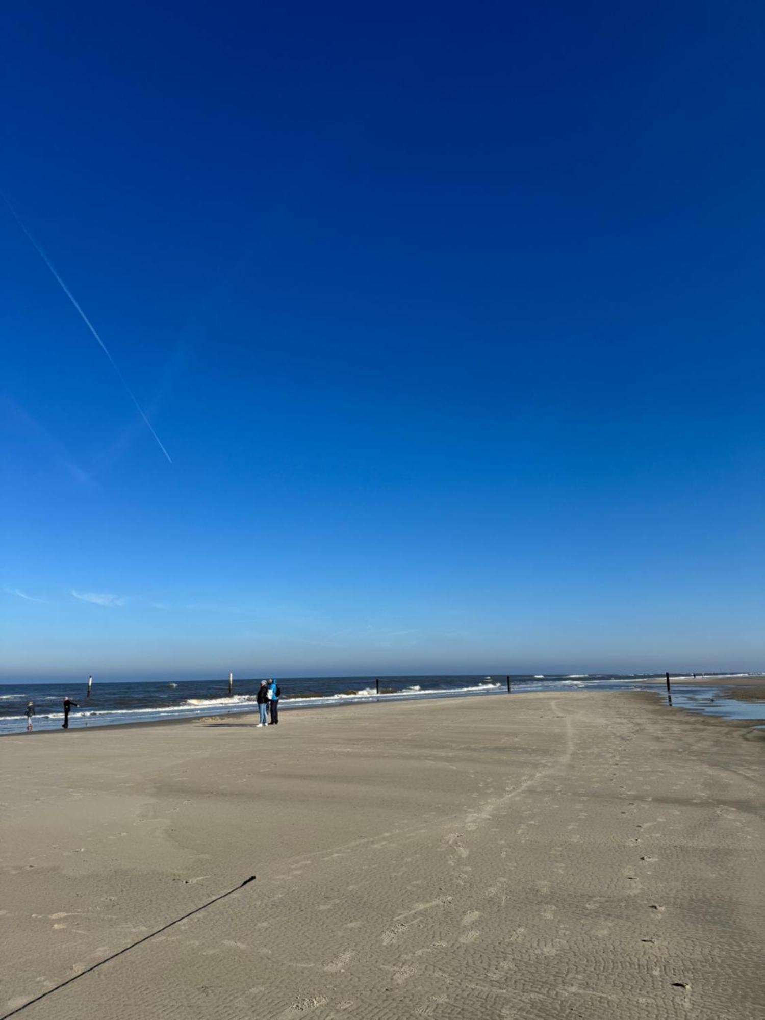 Dünenrose am Nordstrand Norderney Eksteriør bilde