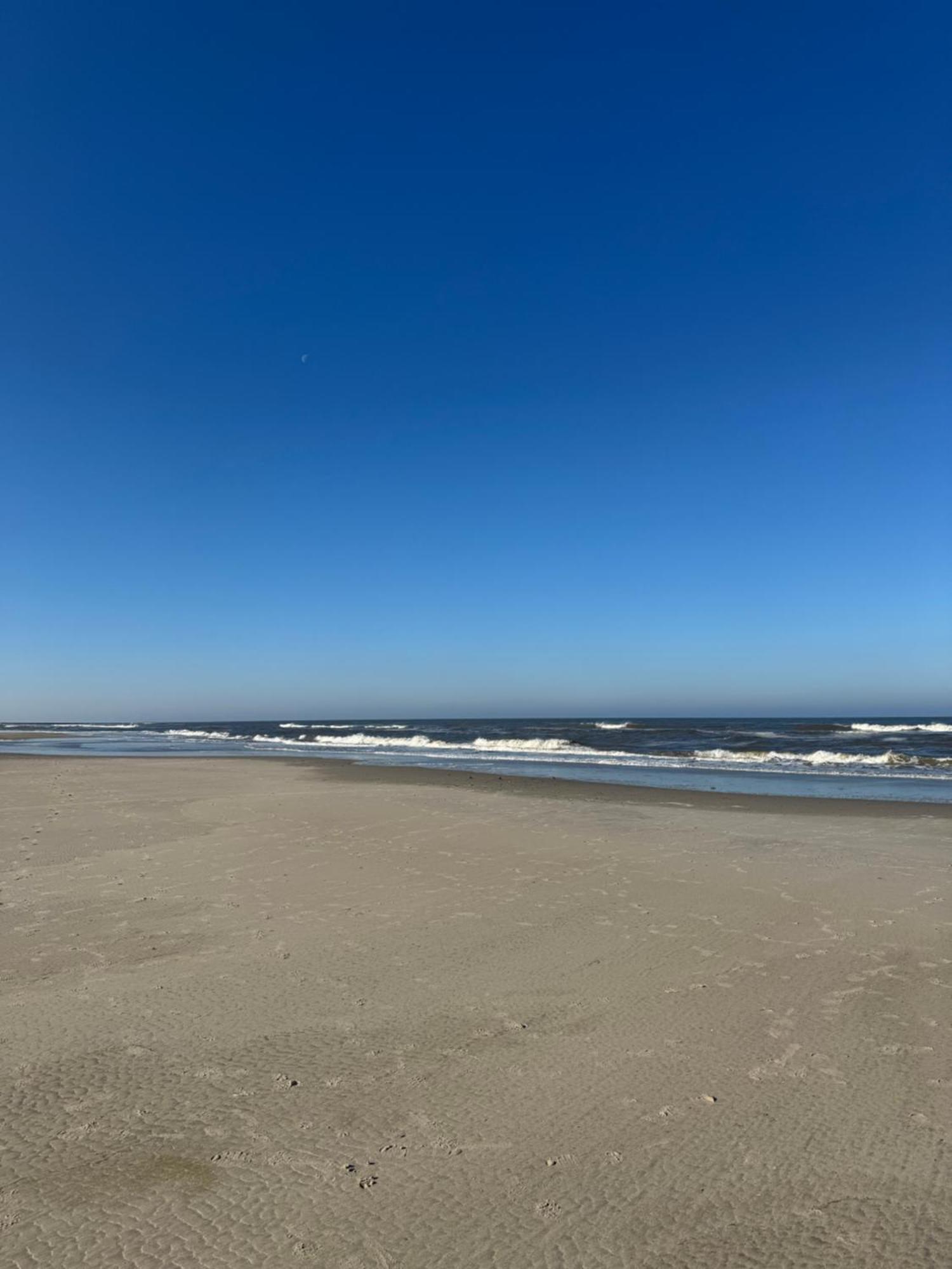 Dünenrose am Nordstrand Norderney Eksteriør bilde